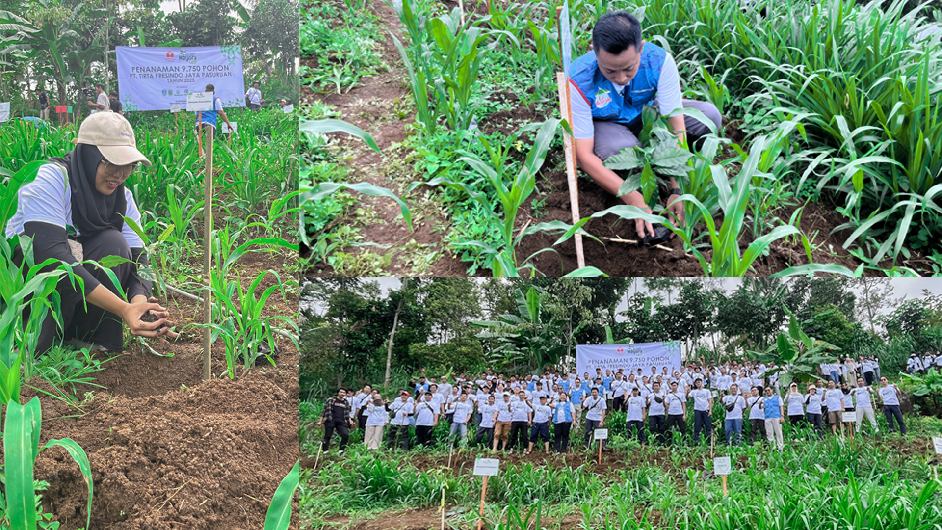 Lestarikan DAS Petung, PT. Tirta Fresindo Jaya Tanam 9.750 Pohon di Desa Kemiri, Kec. Puspo.