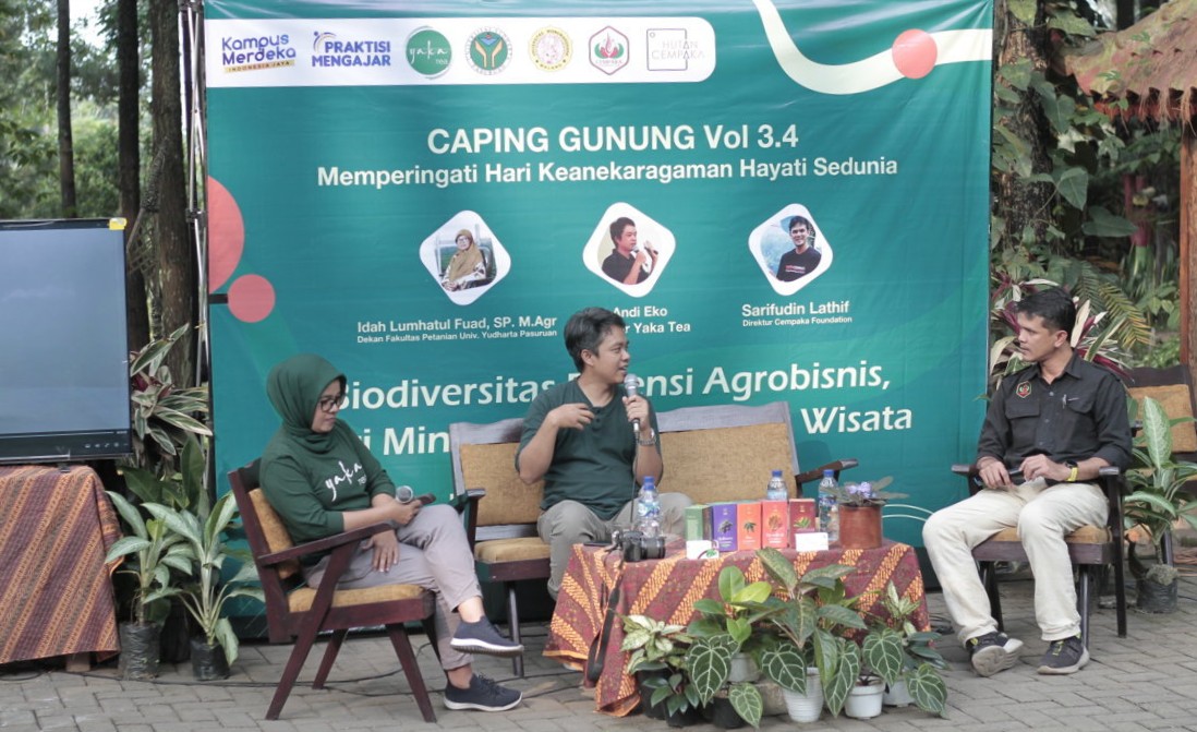 Caping Gunung Cempaka Foundation: Ruang Berkumpul, Ruang Bergerak