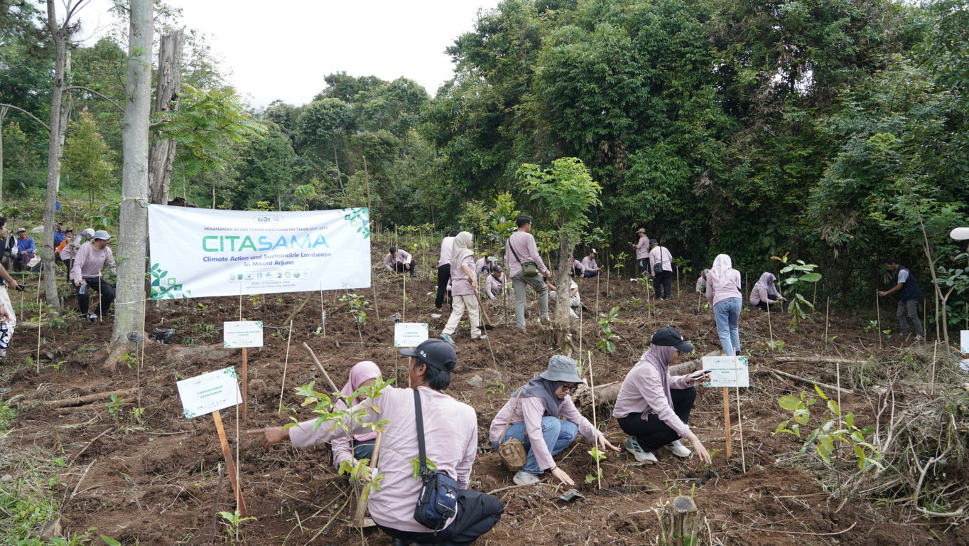 Menjaga yang Tumbuh, Memastikan Setiap Pohon Memberi Kehidupan