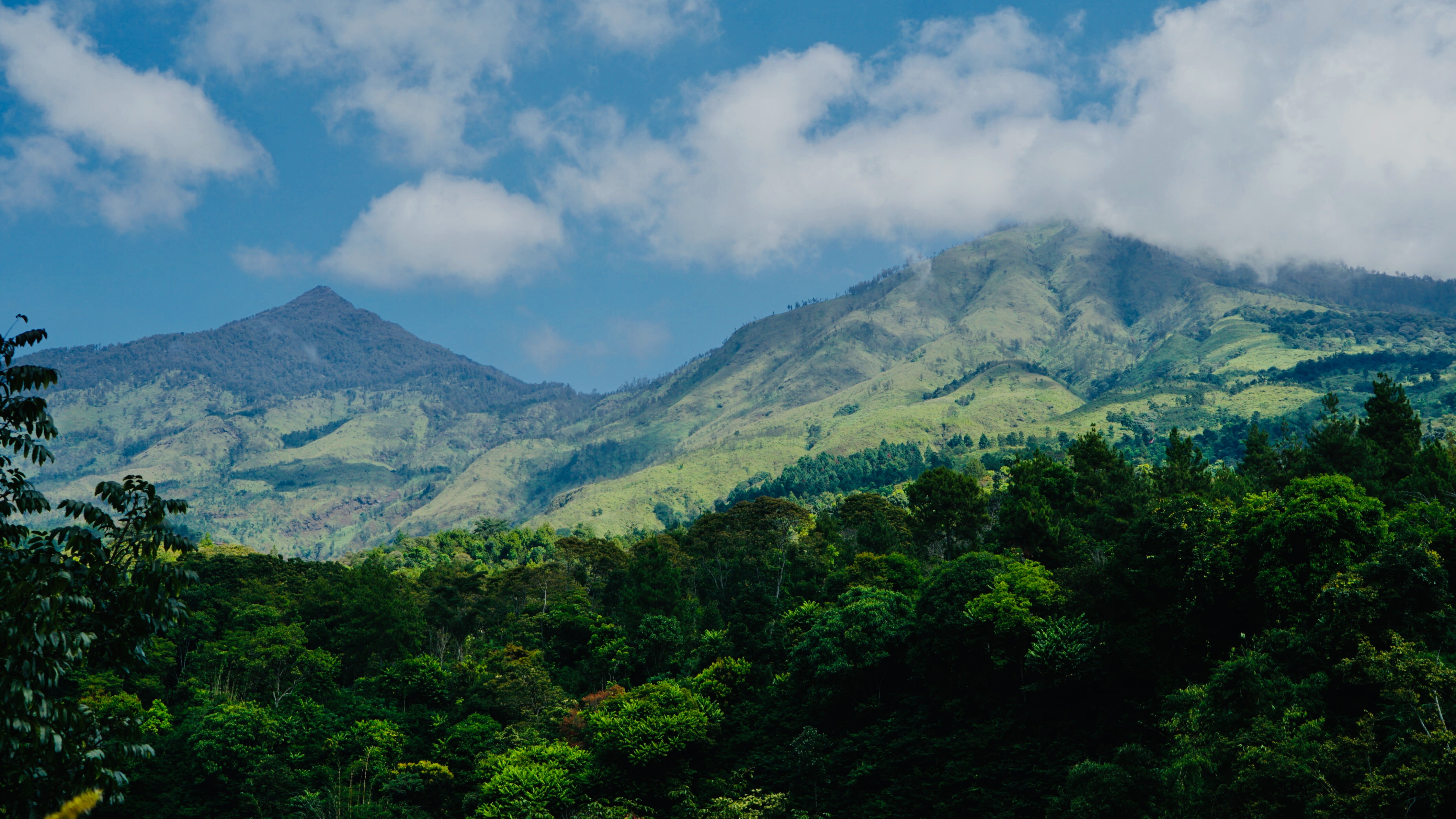 Travel banner with person wearing backpack looking at mountain background with text 'It's time to THE TRAVEL $150 PACKAGE STARTS'